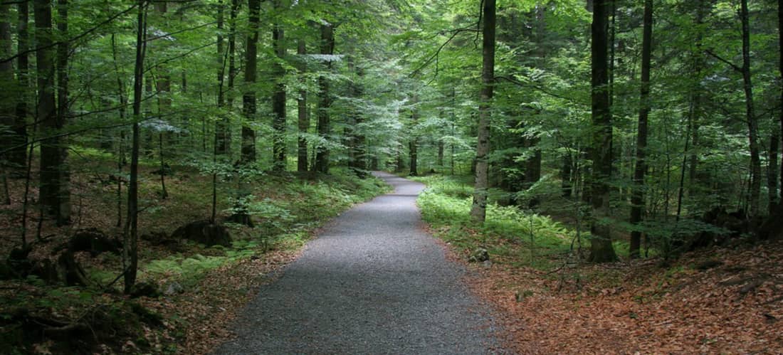 2.	I am kind of a jerk!